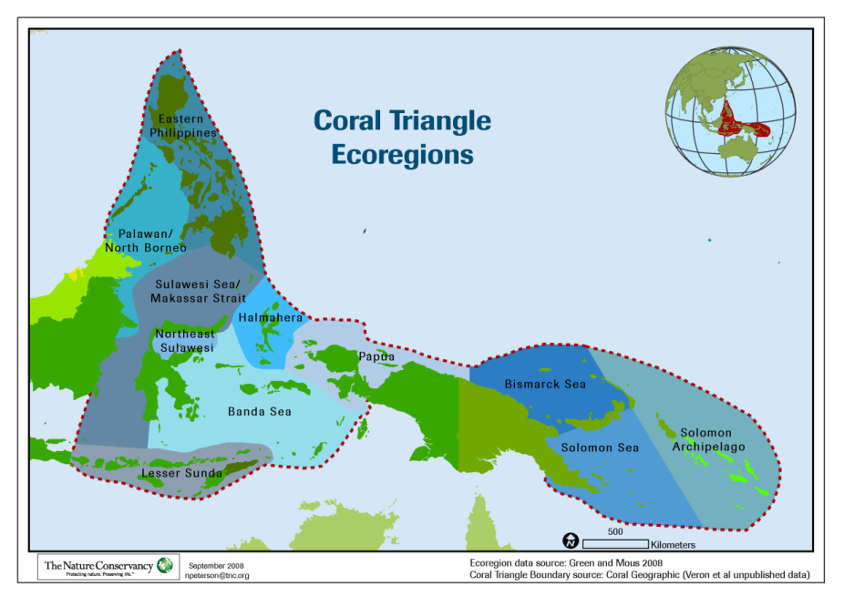 Coral triangle ecoregions