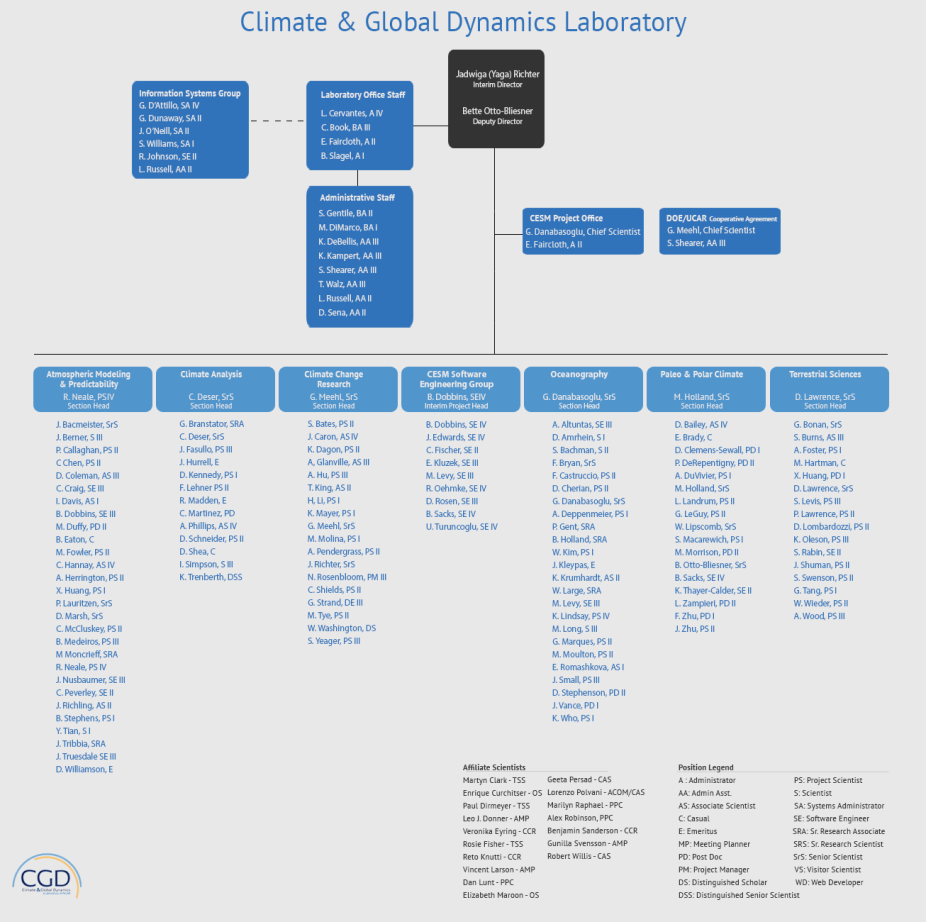 CGD Org Chart