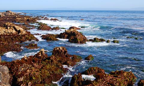  Oceanography Section